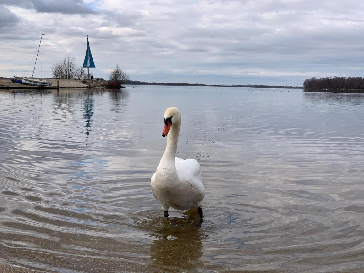 BadHoophuizen 6-per Bungalow Veluwemeer Trampoline Hulshorst Buitenkant foto